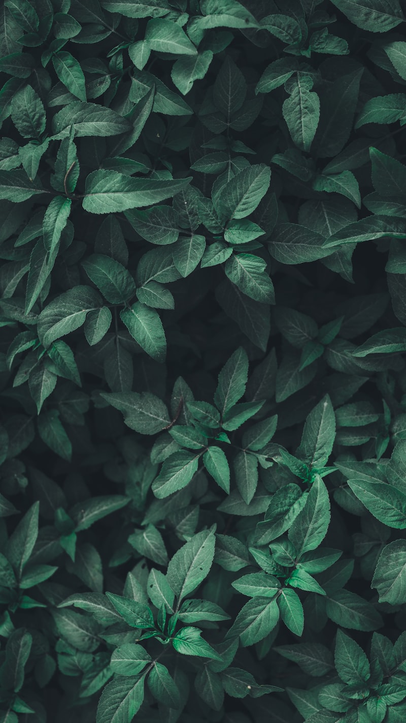 Natur